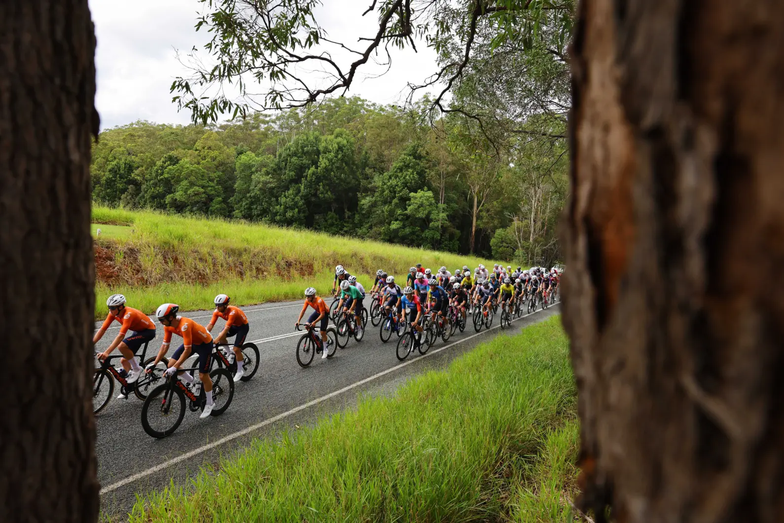 Pro Velo Stg 4 RR 60433