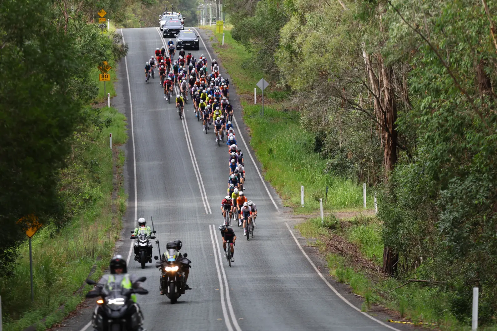 Pro Velo Stg 4 RR 62683