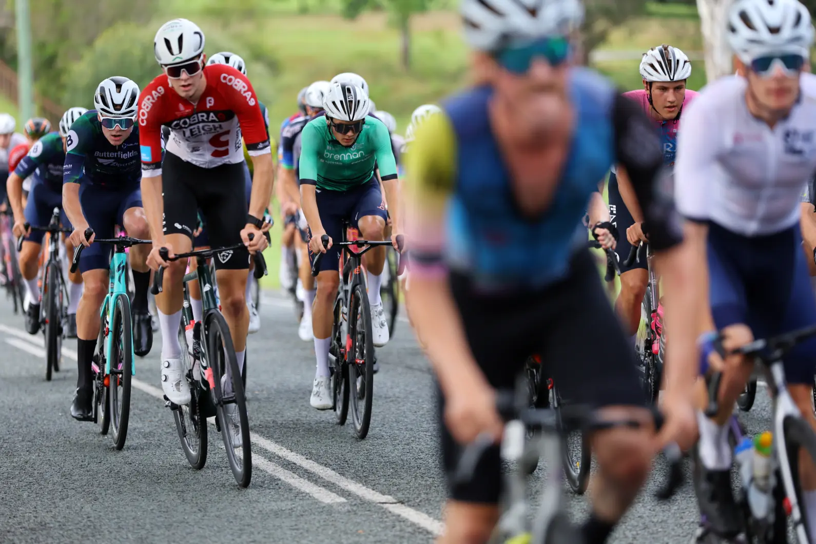 Pro Velo Stg 4 RR 64033