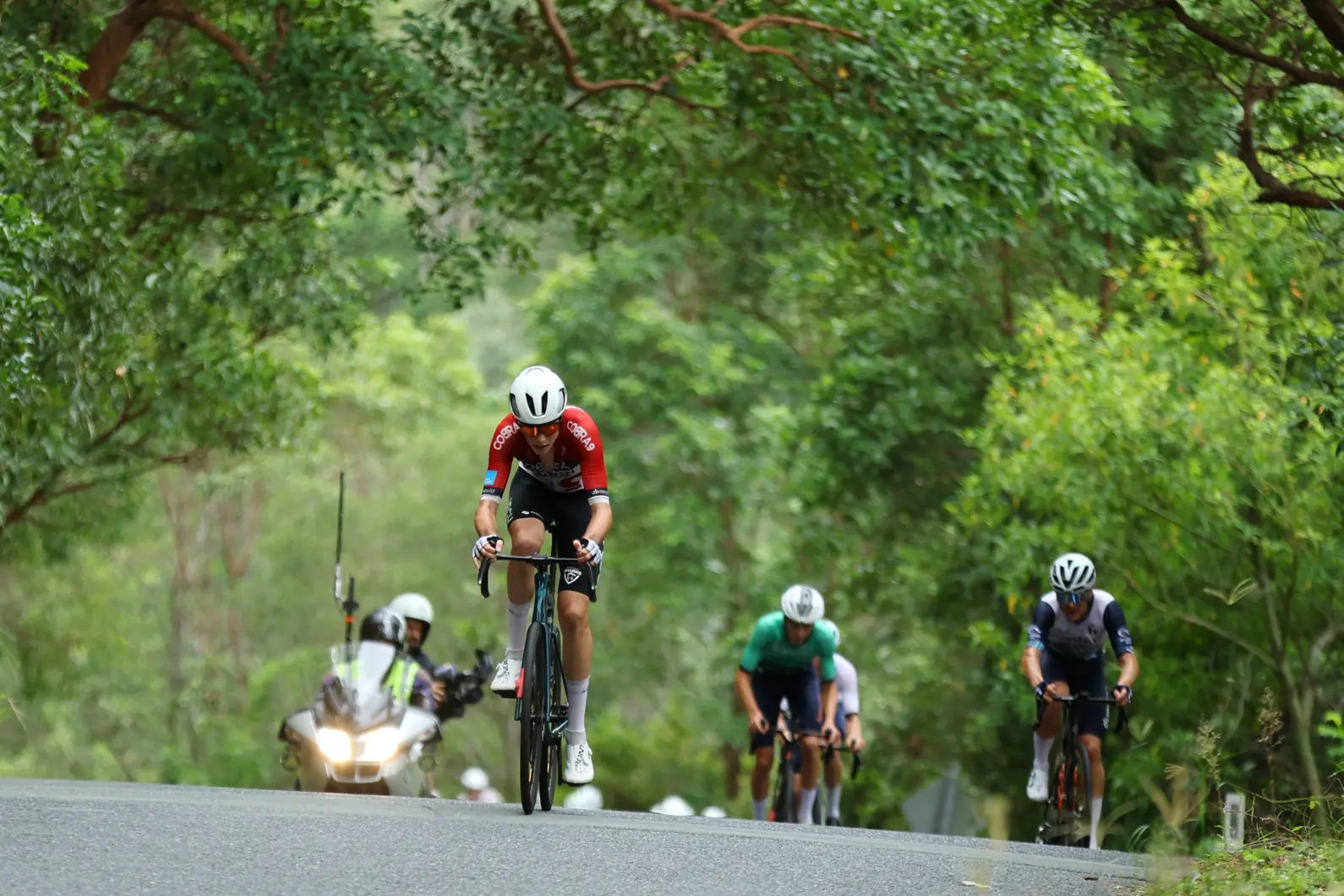 Pro Velo Stg 4 RR 69213