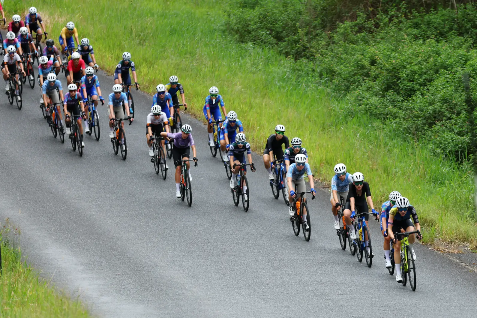 Pro Velo Stg 4 RR 75183